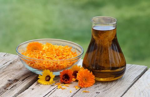 What Is Calendula Extract—Is it Good or Bad for Your Skin?