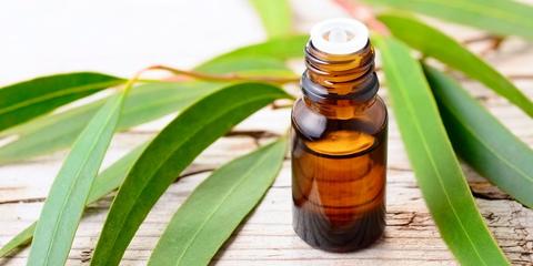 What Is Eucalyptus Oil—Is it Good or Bad for Your Skin?