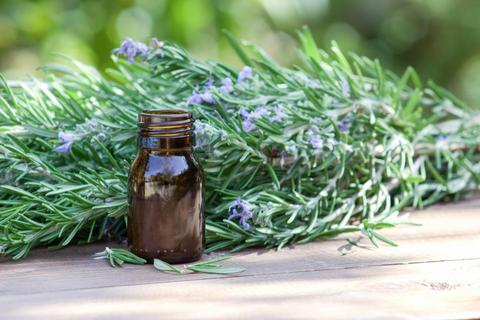 Is Rosemary Oil Good or Bad for Your Skin?