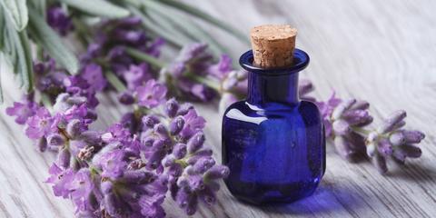Is Lavandula Oil Good or Bad for Your Skin?