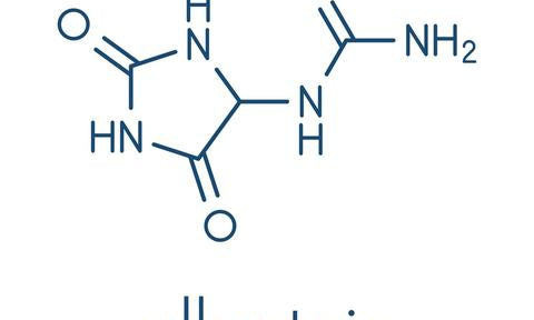What is Allantoin? Is it Good or Bad for Your Skin?