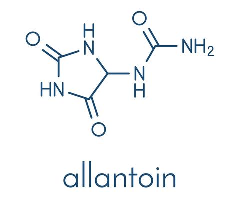 What is Allantoin? Is it Good or Bad for Your Skin?
