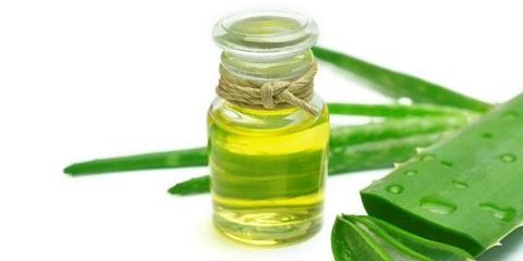 blog-1-1 All About Aloe Vera Extract—Skin Care Benefits, Tips & Products – Tiege Hanley