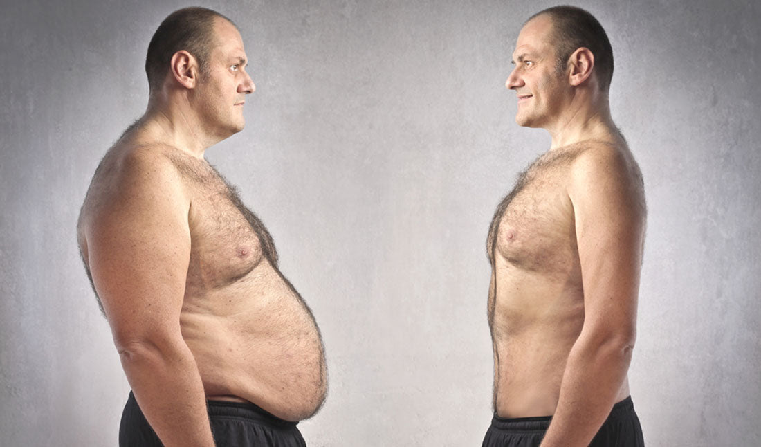 belly fat comparison